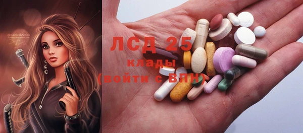 прущие грибы Пересвет