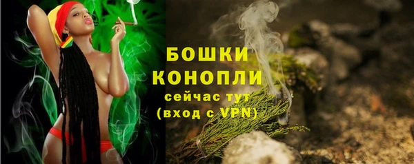 крисы Осинники