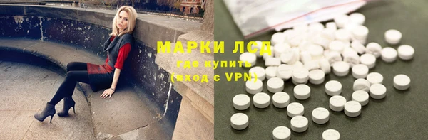 прущие грибы Пересвет