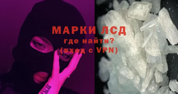 мяу мяу мука Пестово