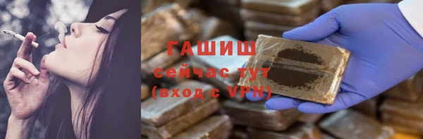 прущие грибы Пересвет