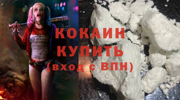 сатива Белая Холуница
