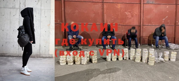 прущие грибы Пересвет
