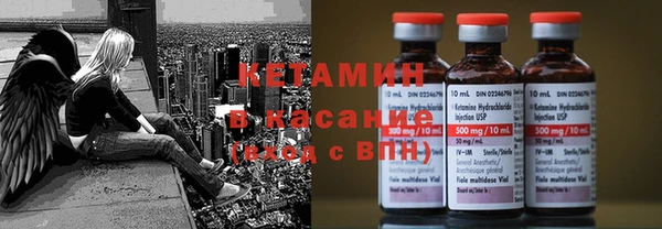 прущие грибы Пересвет