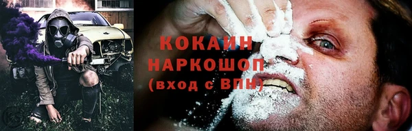 прущие грибы Пересвет